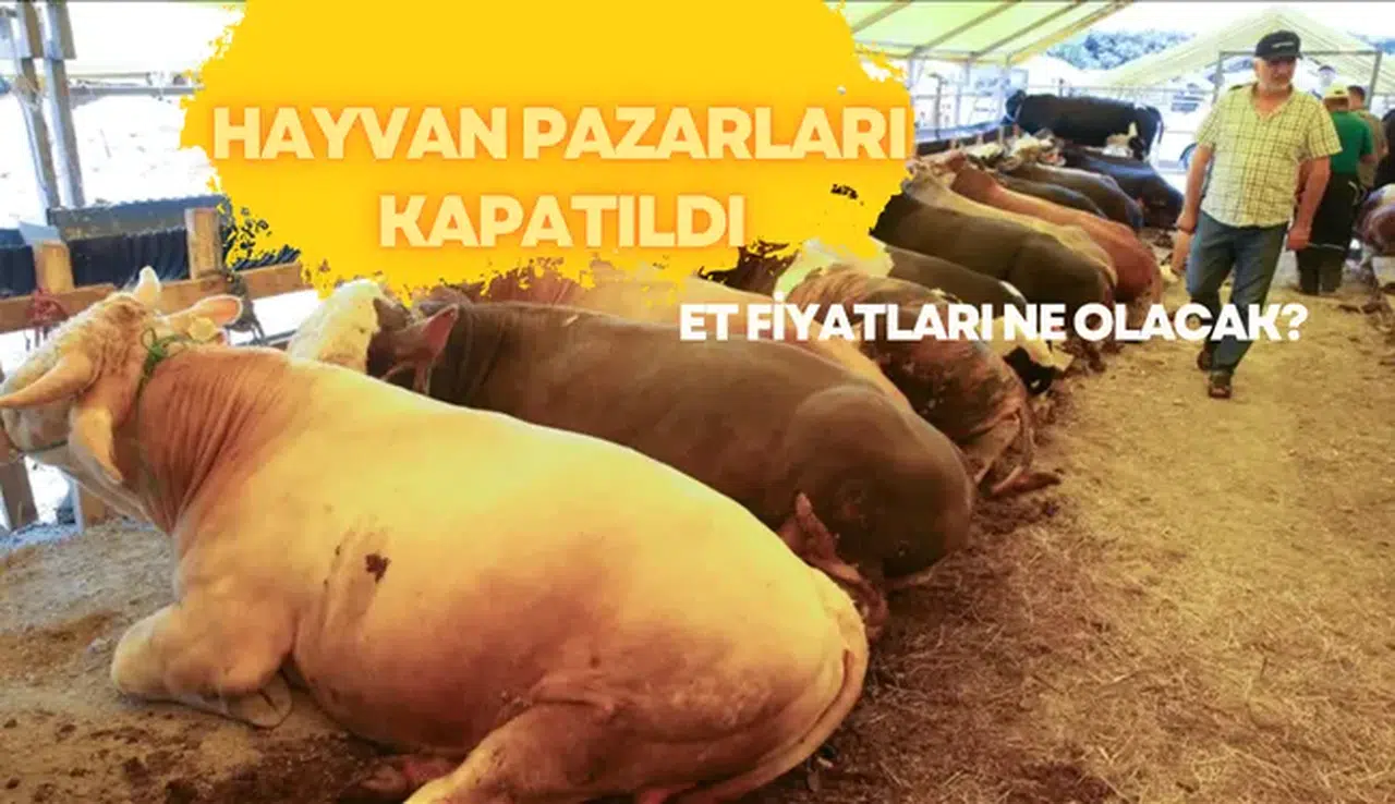 Hayvan Pazarları Kapatıldı: Et Fiyatları Ne Olacak