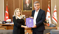 Ombudsman Varol'dan Cumhurbaşkanlığına kritik rapor sunumu