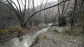 Kıbrıs Vadisi Ankara Kent Konseyi’nde Ele Alınıyor