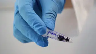Kene Kaynaklı Hastalıkların Risk Haritası Oluşturuluyor