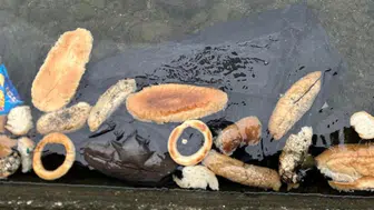 Rize'de Yüzlerce Ekmek, Simit ve Mısır Ekmeği Denize Atıldı