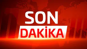 Kore Savaşı'nda Şehit Düşen 4 Türk Askerinin Naaşı 75 Yıl Sonra Teslim Edildi