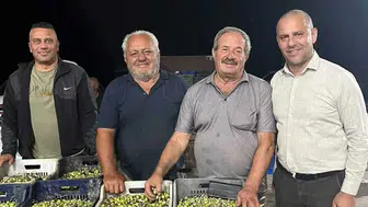 Zeytin üreticisinin kooperatif başarısı: 28 üyeden 250 üreticiye uzanan dev hikaye