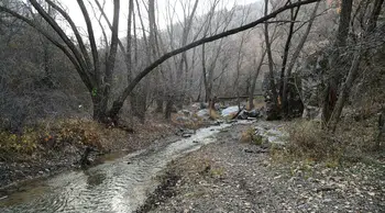 Kıbrıs Vadisi Ankara Kent Konseyi’nde Ele Alınıyor