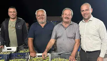 Zeytin üreticisinin kooperatif başarısı: 28 üyeden 250 üreticiye uzanan dev hikaye