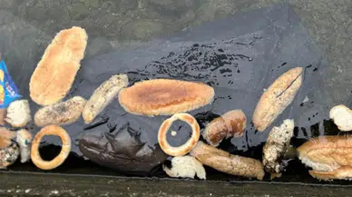 Rize'de Yüzlerce Ekmek, Simit ve Mısır Ekmeği Denize Atıldı