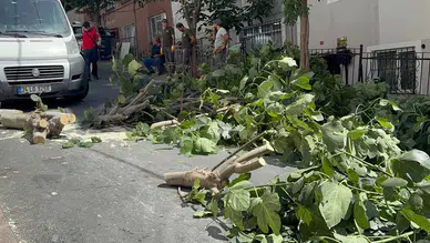 İstanbul'da Şiddetli Fırtına: Ağaçlar Devrildi, Yaralılar Var