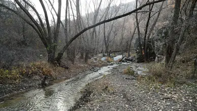 Kıbrıs Vadisi Ankara Kent Konseyi’nde Ele Alınıyor