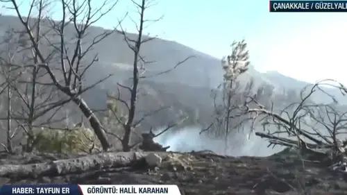 Çanakkale Güzelyalı’da Orman Yangını Felaketi: Bölge Kül Oldu