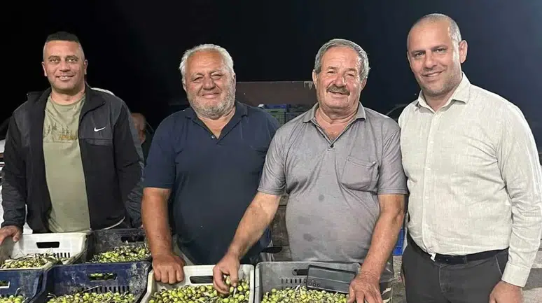 Zeytin üreticisinin kooperatif başarısı: 28 üyeden 250 üreticiye uzanan dev hikaye