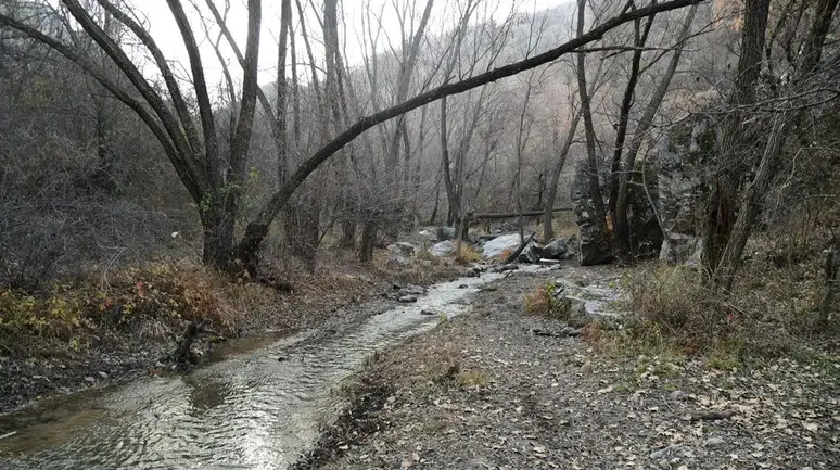 Kıbrıs Vadisi Ankara Kent Konseyi’nde Ele Alınıyor