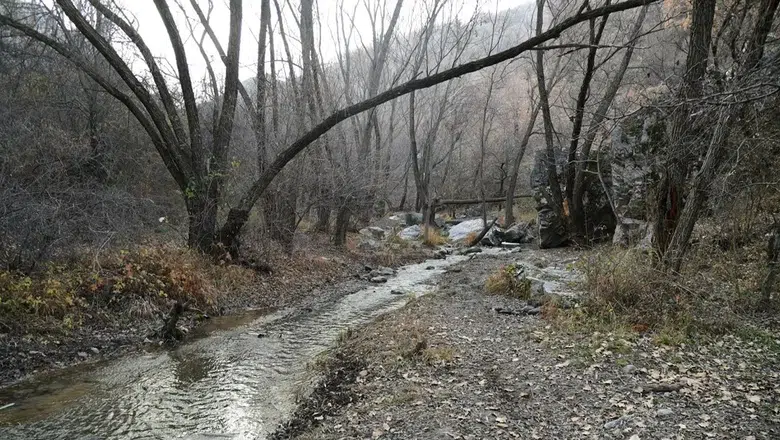 Kıbrıs Vadisi Ankara Kent Konseyi’nde Ele Alınıyor